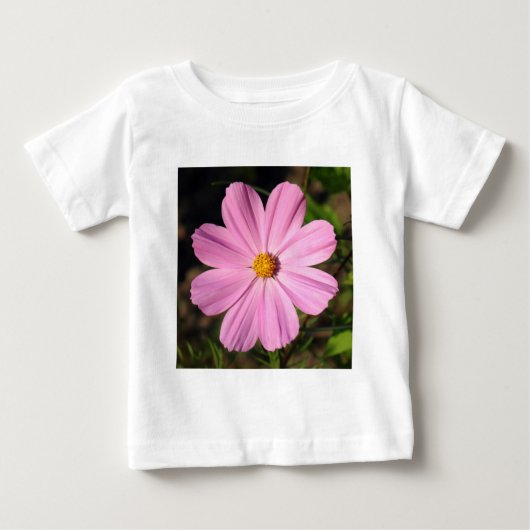 Roze kosmos (foto vierkant) (Voorkant)