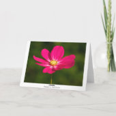 Roze kosmos (grens) kaart (Achterkant)