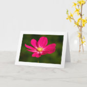 Roze kosmos (grens) kaart (Gele Bloem)