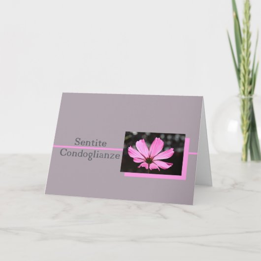 roze kosmos italiaanse sympathiekaart kaart (Voorkant)