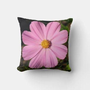 Roze kosmos. kussen
