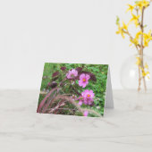 Roze kosmos met Coleus Kaart (Gele Bloem)