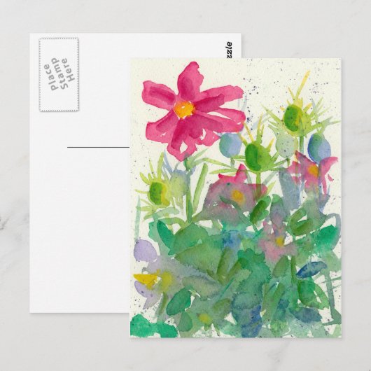 Roze Kosmos Nigella Bloementuin Waterverf Briefkaart (Voorkant / Achterkant)
