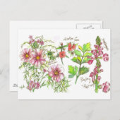 Roze Kosmos Snapdragon Bloemen Schets Briefkaart (Voorkant / Achterkant)