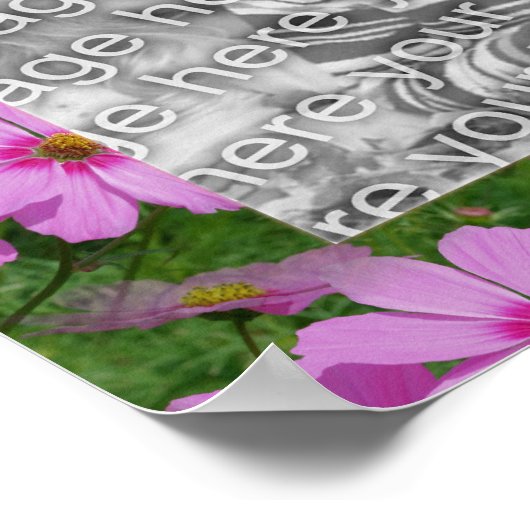  roze kosmos ventilatorontwerp Lijst Foto Poster (Hoek)