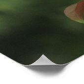 Roze krab Apple Blossom Canvas of Poster (Hoek)