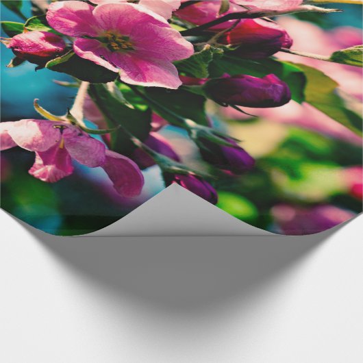 Roze krab Apple Flowers Cadeaupapier (Hoek)
