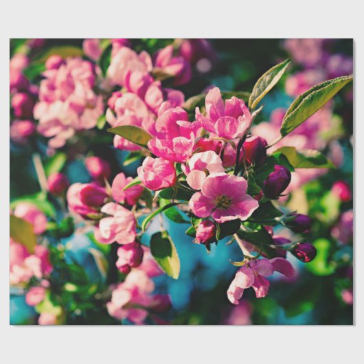 Roze krab Apple Flowers Cadeaupapier (Vlak)