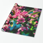Roze krab Apple Flowers Cadeaupapier (Uitgerold)