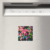 Roze krab Apple Flowers Magneet (Insitu (Vaatwasser))