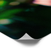 Roze krab Apple Flowers Poster (Hoek)