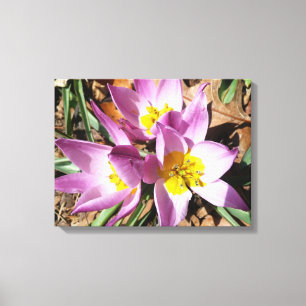 Roze krokodilentekoraal canvas afdruk