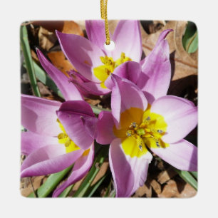 Roze krokodilentekoraal keramisch ornament