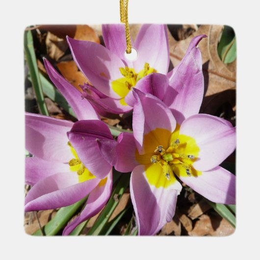 Roze krokodilentekoraal keramisch ornament (Voorkant)