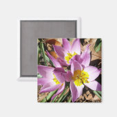 Roze krokodilentekoraal magneet (Voorkant / Achterkant)