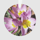 Roze krokodilentekoraal ornament (voorkant)