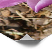 Roze krokodilentekoraal poster (Hoek)