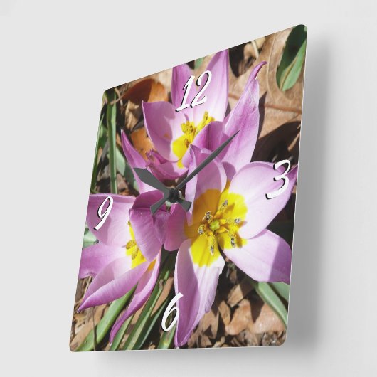 Roze krokodilentekoraal vierkante klok (Hoek)