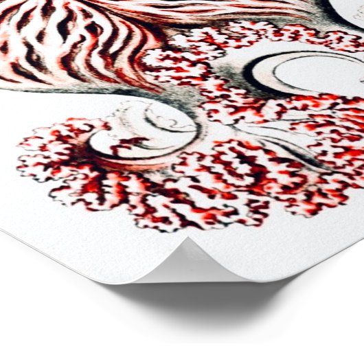 Roze kwal - Ernst Haeckel Poster (Hoek)