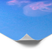 Roze kwallen in blauw water poster (Hoek)
