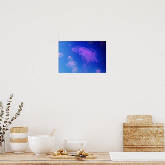 Roze kwallen in blauw water poster (Keuken)