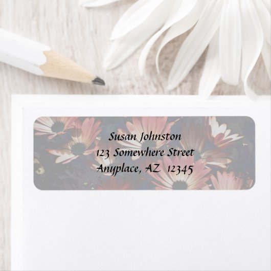 Roze label van afdamesadres van Afrikaanse Daisies (Insitu)