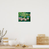 Roze Lace-Cap Hortensia Bloesems - Poster (Keuken)
