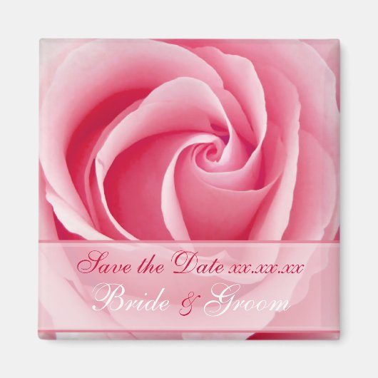 Roze Lady Roos bespaart de datum magneet (Voorkant)