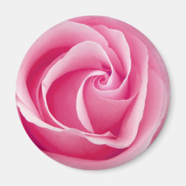 Roze Lady Roos Magnet