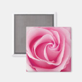Roze Lady Roos Magnet - Square (Voorkant / Achterkant)