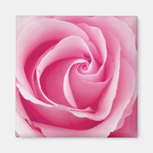 Roze Lady Roos Magnet - Square (Voorkant)