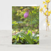 Roze Lady Slipper Blank Note Kaart (Gele Bloem)
