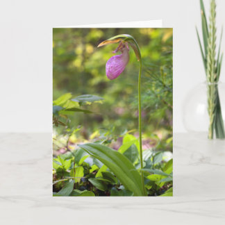 Roze Lady Slipper Blank Note Kaart