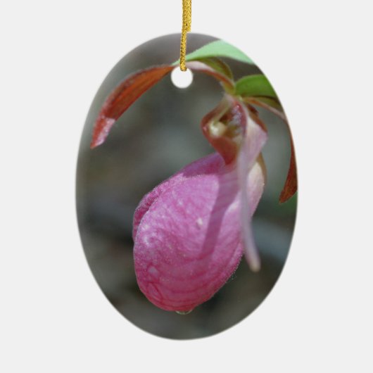 Roze Lady Slipper Flower Ornament (Voorkant)