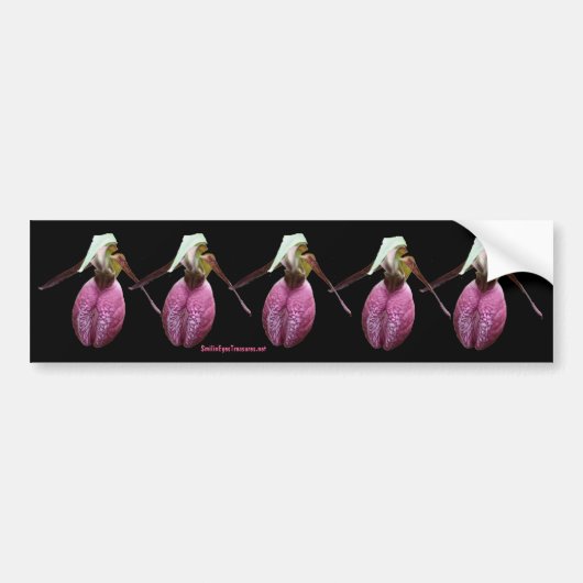 Roze Lady Slipper Flower Photo Bumpersticker (Voorkant)