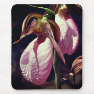 Roze Lady Slipper Orchid Flowers Muismat