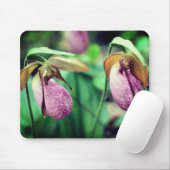 Roze Lady Slipper Orchid Flowers Muismat (Met muis)