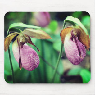 Roze Lady Slipper Orchid Flowers Muismat