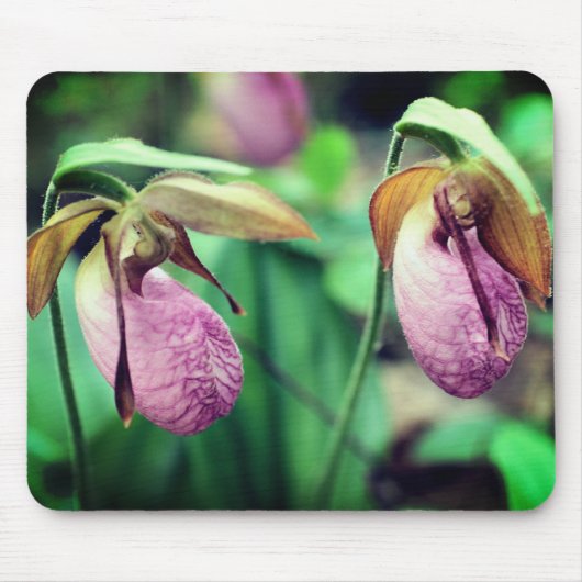 Roze Lady Slipper Orchid Flowers Muismat (Voorkant)