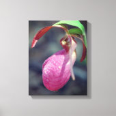 Roze Lady Slipper Orchid Raindrop Canvas Afdruk (Voorkant)