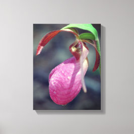 Roze Lady Slipper Orchid Raindrop Canvas Afdruk