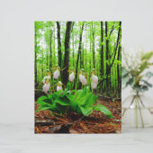 Roze Lady Slipper wild Orchid (Staand voorkant)