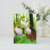 Roze Lady Slipper wild Orchid Briefkaart (Staand voorkant)