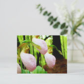 Roze Lady Slipper wild Orchid Briefkaart (Staand voorkant)