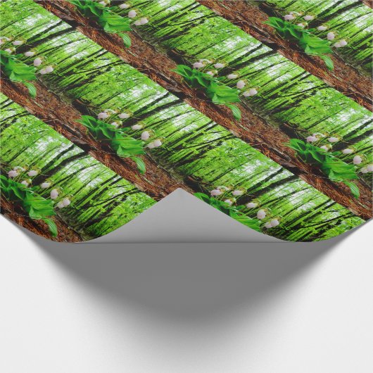 Roze Lady Slipper wild Orchid Cadeaupapier (Hoek)