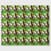 Roze Lady Slipper wild Orchid Cadeaupapier (Vlak)