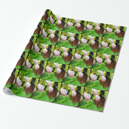 Roze Lady Slipper wild Orchid Cadeaupapier (Uitgerold)