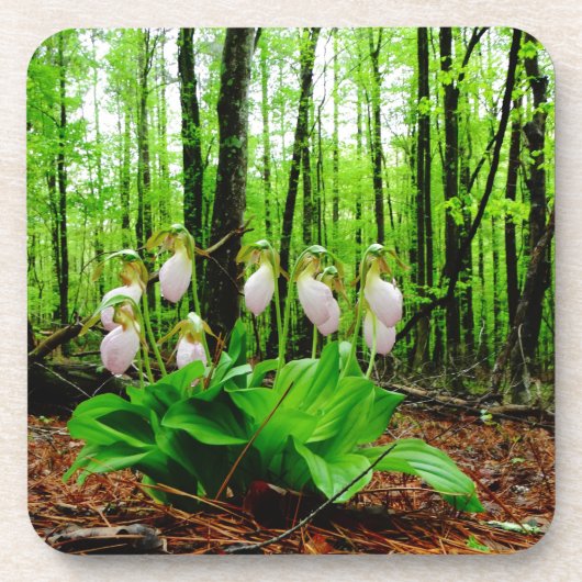 Roze Lady Slipper wild Orchid Drankjes Onderzetter (Voorkant)