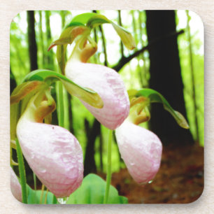 Roze Lady Slipper wild Orchid Drankjes Onderzetter
