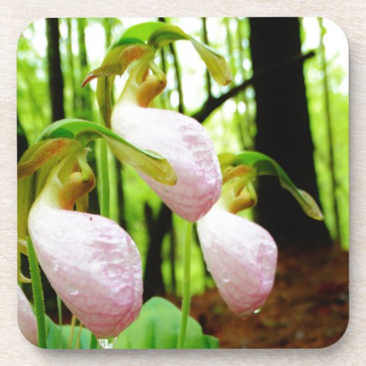 Roze Lady Slipper wild Orchid Drankjes Onderzetter (Voorkant)